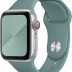 Силиконовый ремешок Gurdini для Apple Watch 44/45/49 мм дикий кактус